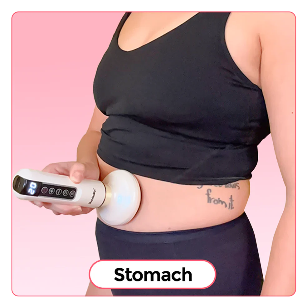 Stomach